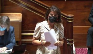 Dominique Estrosi-Sassone : "On ne dénature pas l’esprit et l’objectif général de la loi SRU."