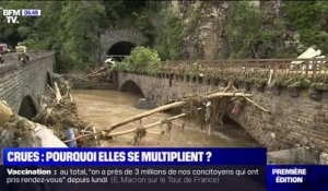 Crues, inondations... Pourquoi elles se multiplient et comment l'expliquer ?