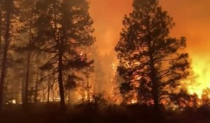 Aux États-Unis, un énorme incendie touche l'État de l'Oregon