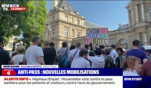 Manifestation anti-pass: entre 300 et 500 personnes rassemblées devant le Sénat