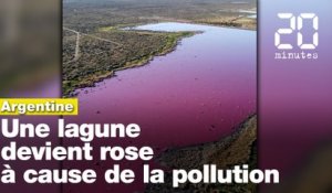 Argentine : Une lagune en Patagonie devient rose à cause de la pollution
