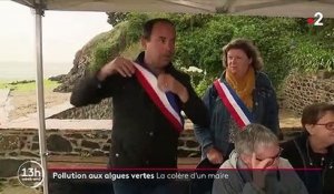 Côtes-d'Armor : à Hillion, on lutte contre les algues polluantes