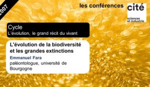 L'évolution de la biodiversité et les grandes extinctions