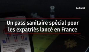 Un pass sanitaire spécial pour les expatriés lancé en France