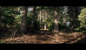 DU SANG ET DES LARMES Film (2013) - Avec Mark Wahlberg, Taylor Kitsch, Emile Hirsch