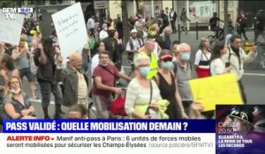 Manifestations anti-pass sanitaire: 150 à 200.000 personnes attendues ce samedi