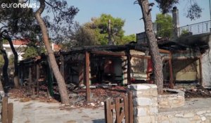 Grèce : 11ème jour de lutte contre les incendies