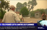 La lutte des habitants de l'île d'Eubée, en Grèce, contre les incendies