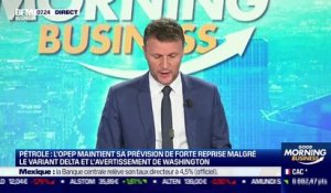 Philippe Chalmin (Université Paris-Dauphine) : L'OPEP maintient sa prévision de reprise - 13/08