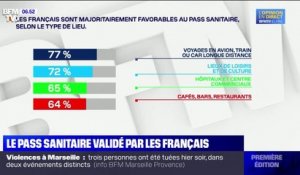 SONDAGE BFMTV - 54% de Français désapprouvent désormais le mouvement contre le pass sanitaire