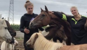 Dans le Haut-Rhin, une mère et sa fille offrent un nouveau foyer à des chevaux promis à l'abattoir