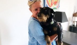 Égaré en Savoie, leur chien de 2 ans parcourt 380 kilomètres pour rentrer chez eux dans le Gard