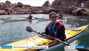 Côtes-d'Armor : les côtes de granit rose, des merveilles de biodiversité