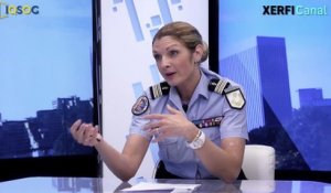 La communication de crise de la gendarmerie nationale [Maddy Scheurer]