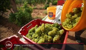 Routes du vin : en Chine, des cépages aux origines françaises