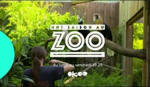Une saison au zoo  - Bande annonce S14 V2