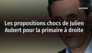 Les propositions chocs de Julien Aubert pour la primaire à droite
