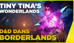 Le SPIN OFF de BORDERLANDS ARRIVE ! - Interview des développeurs de Tiny Tina’s Wonderlands