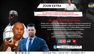 Zoom Extra : Un comptable attaqué par deux rottweilers : Faut-il durcir la loi à l’égard des propriétaires de chiens ?