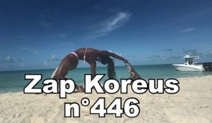 Zap Koreus n°446