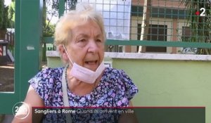 Italie : quand les sangliers envahissent Rome et les grandes villes