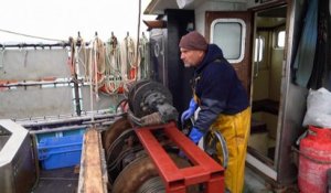 Avis de tempête post-Brexit : Jersey refuse 75 licences aux bateaux de pêche français