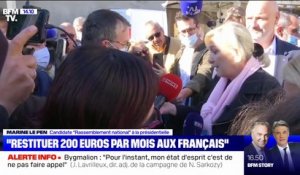 Hausse des prix de l'énergie: Marine Le Pen va proposer des mesures pour "restituer 150 à 200 euros par mois et par Français"
