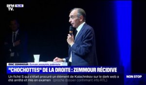Pour Éric Zemmour, les dirigeants LR sont "peureux, pusillanimes"