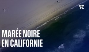 Une marée noire touche le sud de la Californie