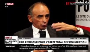 Eric Zemmour a proposé l'arrêt total de l'immigration en France : "Qu'elle soit légale ou illégale, on arrête tout y compris le regroupement familial !"