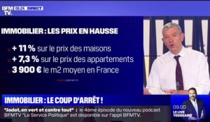 Pourquoi y a-t-il une baisse des ventes dans l'immobilier ?