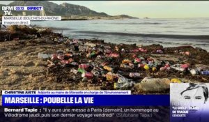 Christine Juste, adjointe au maire de Marseille, explique ne pas avoir "la compétence pour la collecte des ordures" ni "les moyens pour suppléer à la grève"