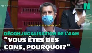 "Les cons, c'est nous": Ruffin interpelle Castaner sur l'allocation adulte handicapé (AAH)