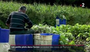 Gastronomie : à la découverte des cocos de Paimpol dans les Côtes-d'Armor