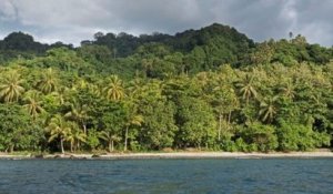 Deux hommes perdus en mer ont réussi à survivre 29 jours en buvant de l'eau de pluie et en mangeant des noix de coco