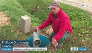 Côte-d'Or : les agriculteurs de Dijon s'adaptent au changement climatique