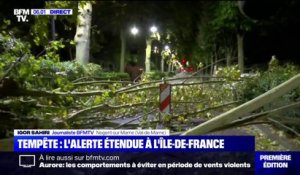 Vents violents: l'Île-de-France placée en vigilance orange, des dégâts déjà observés à Nogent-sur-Marne, dans le Val-de-Marne