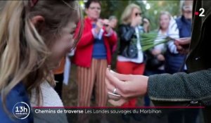 Morhiban : les landes de Lanvaux, la beauté sauvage des forêts bretonnes