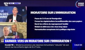 Michel Barnier veut un moratoire sur l'immigration: "C'est une promesse et un engagement, (...) ce n'est pas un coup"