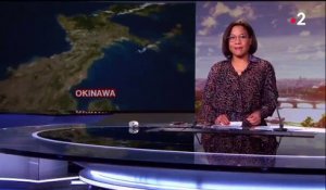 Japon : des vagues de pierres ponces déferlent sur les côtes d'Okinawa