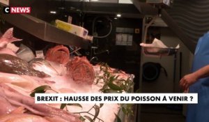 Brexit : hausse des prix du poisson à venir ?