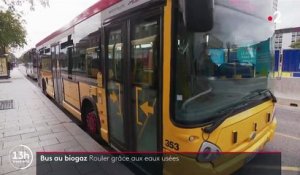 Mulhouse : des bus roulent avec un carburant fait à partir des eaux usées