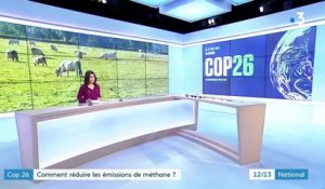 COP26 : les États s’engagent à réduire leurs émissions de méthane