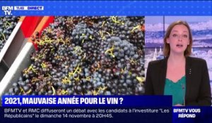 La mauvaise météo de 2021 aura-t-elle un impact sur les productions de vin français? BFMTV répond à vos questions