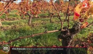 Vin : une mauvaise année pour les producteurs français