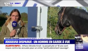 Joggeuse disparue en Mayenne: des renforts sont arrivés pour aider aux recherches