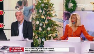 Le monde de Macron : 45% des Français n'achèteront pas de sapin de Noël cette année - 11/11