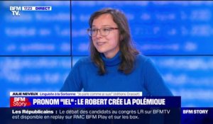 "Iel": pour Julie Neveux, linguiste à la Sorbonne, "cette forme va soulager la vie, le sentiment d'appartenance et d'identité, d'une certaine catégorie de la population"