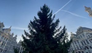 Le sapin de Noêl est installé à la Grand Place