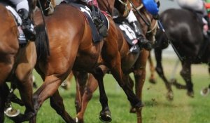Cagnes-sur-Mer : une association sauve les chevaux de course retraités de l'abattoir